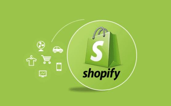 Shopify店铺是选择做细分垂直类还是综合杂货铺？独立站店铺类型选择